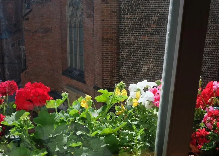 Academus Pub & Nocleg ze śniadaniem