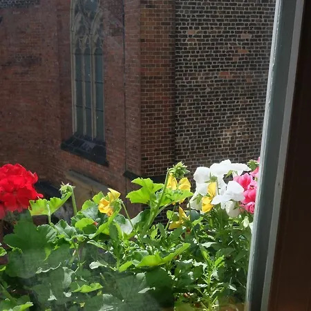 Academus Pub & Bed & Breakfast