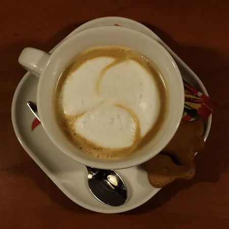 Couette-café Academus - Pub, Rooms, Cider Wrocław