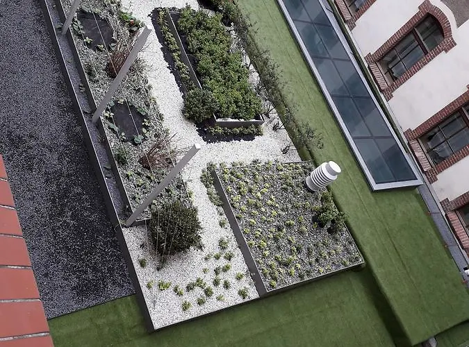 Academus Pub & לינה וארוחת בוקר 4*